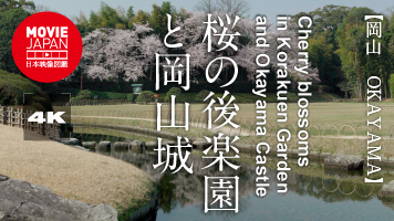 岡山 　桜の後楽園と岡山城