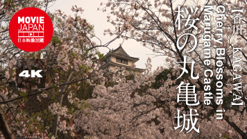 香川　桜の丸亀城