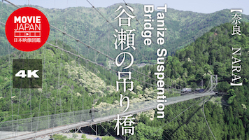 奈良　谷瀬の吊り橋
