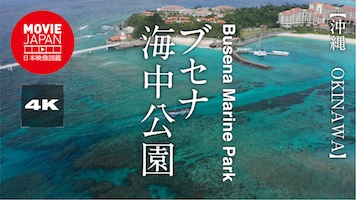 沖縄　ブセナ海中公園