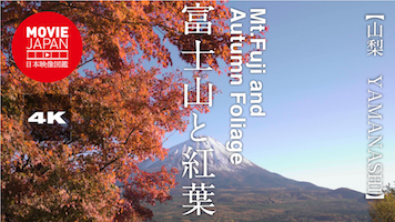 山梨　河口湖　富士山と紅葉