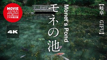 岐阜　モネの池