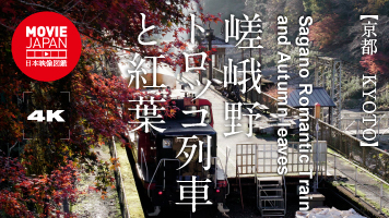 京都　嵯峨野トロッコ列車と紅葉