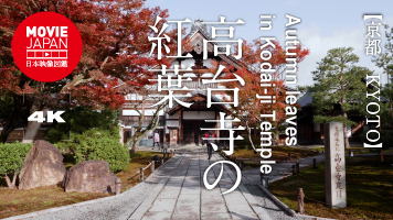 京都　高台寺の紅葉