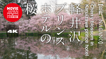 軽井沢プリンスホテルの桜