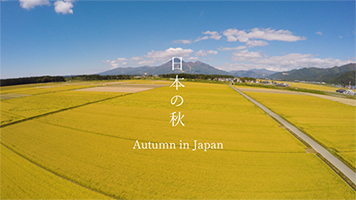 おうちで日本の秋旅行